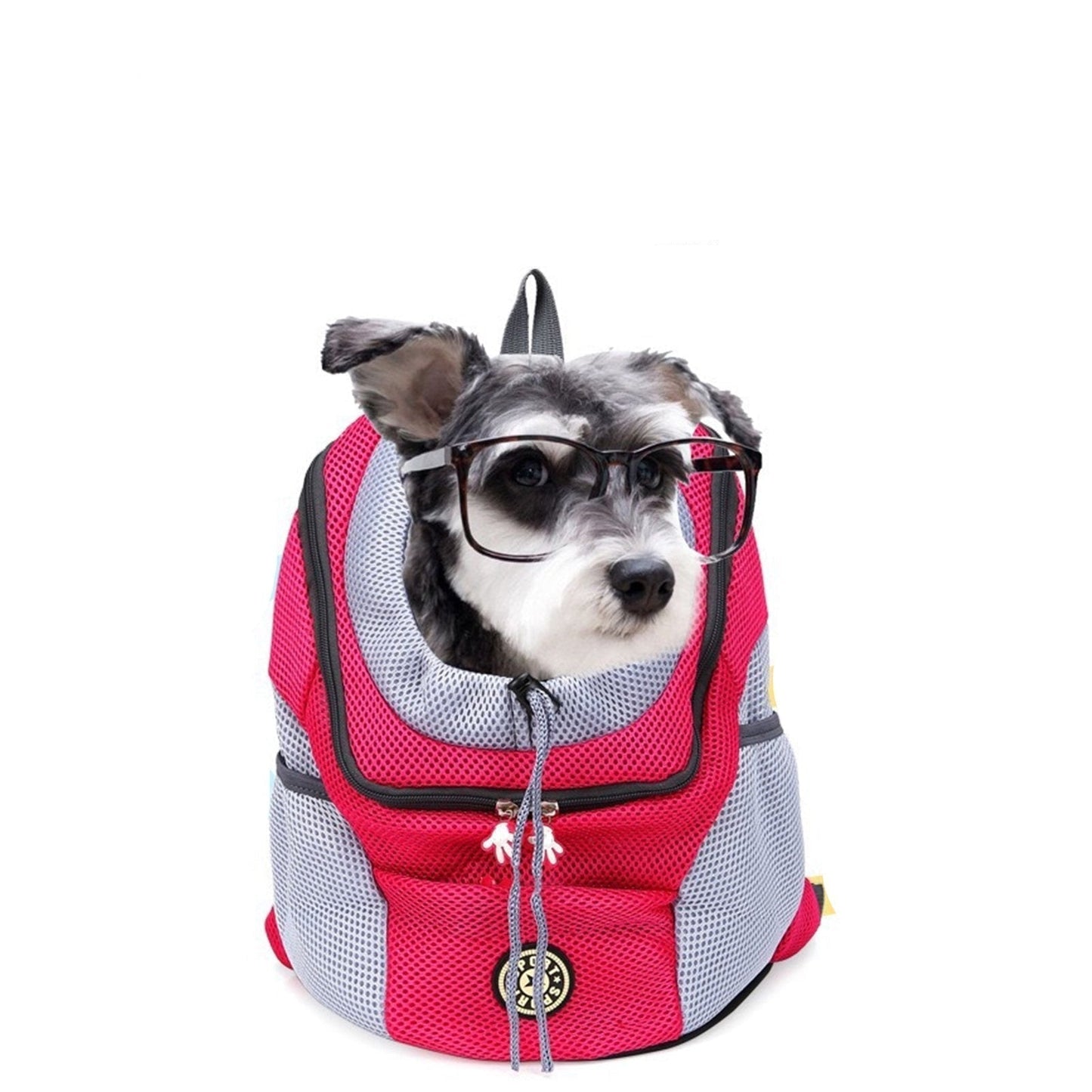 Pet Carrier Bag Petritzy