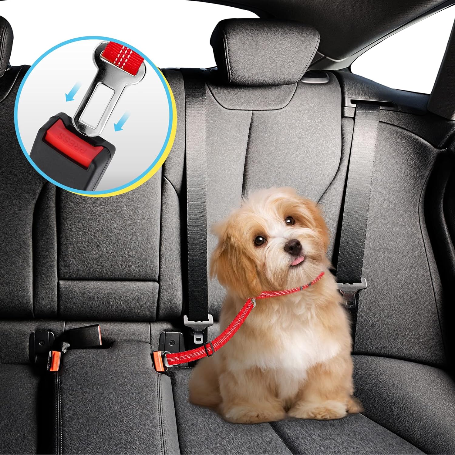 Pet Car Safety Belt Pet Car Safety Belt Pet Car Safety Belt Pet Car Sa Whiskers Tails Boutique